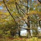 Herbst in Gelsenkirchen