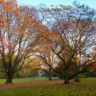 Herbst in Gelsenkirchen