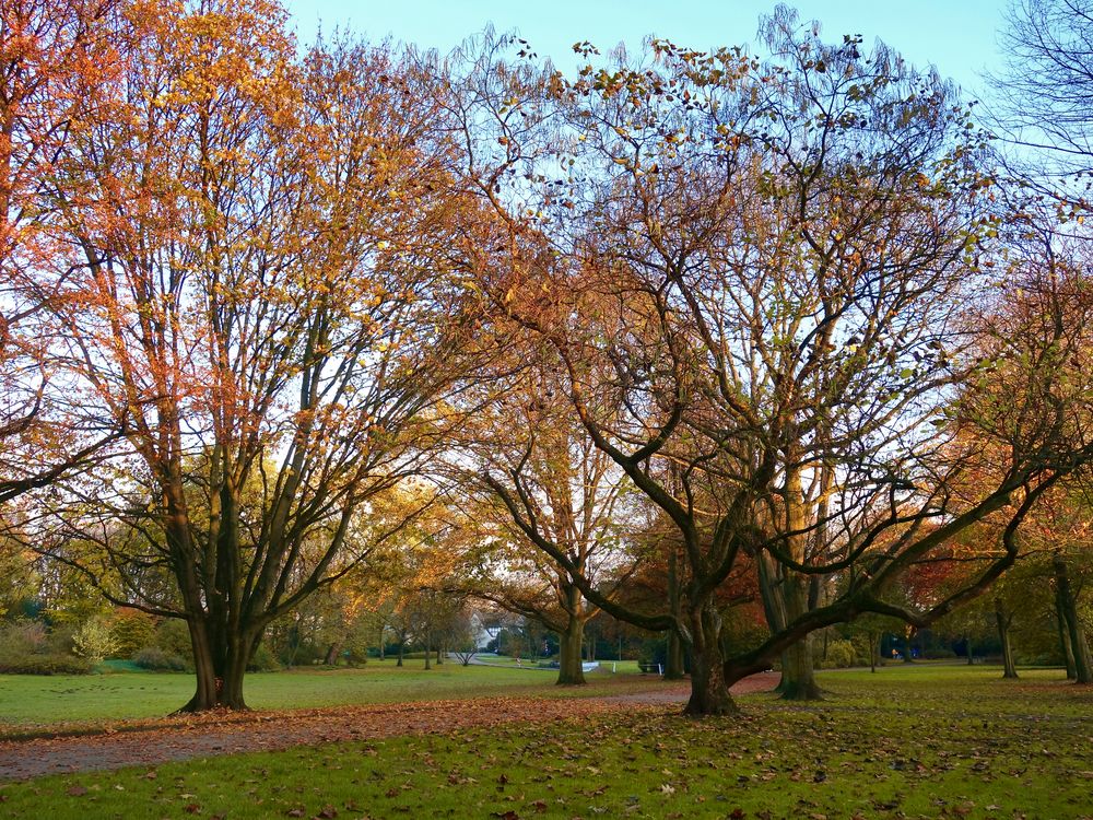 Herbst in Gelsenkirchen