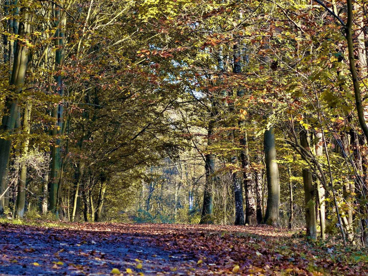 Herbst in Gelsenkirchen