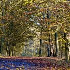 Herbst in Gelsenkirchen