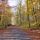 Herbst in Gelsenkirchen