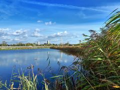 Herbst in Gelsenkirchen