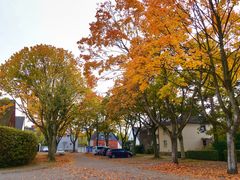 Herbst in Gelsenkirchen