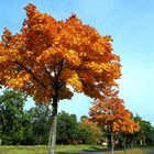 Herbst in Gelsenkirchen