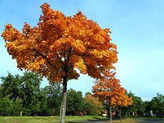 Herbst in Gelsenkirchen