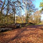 Herbst in Gelsenkirchen