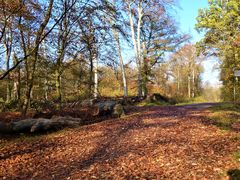 Herbst in Gelsenkirchen