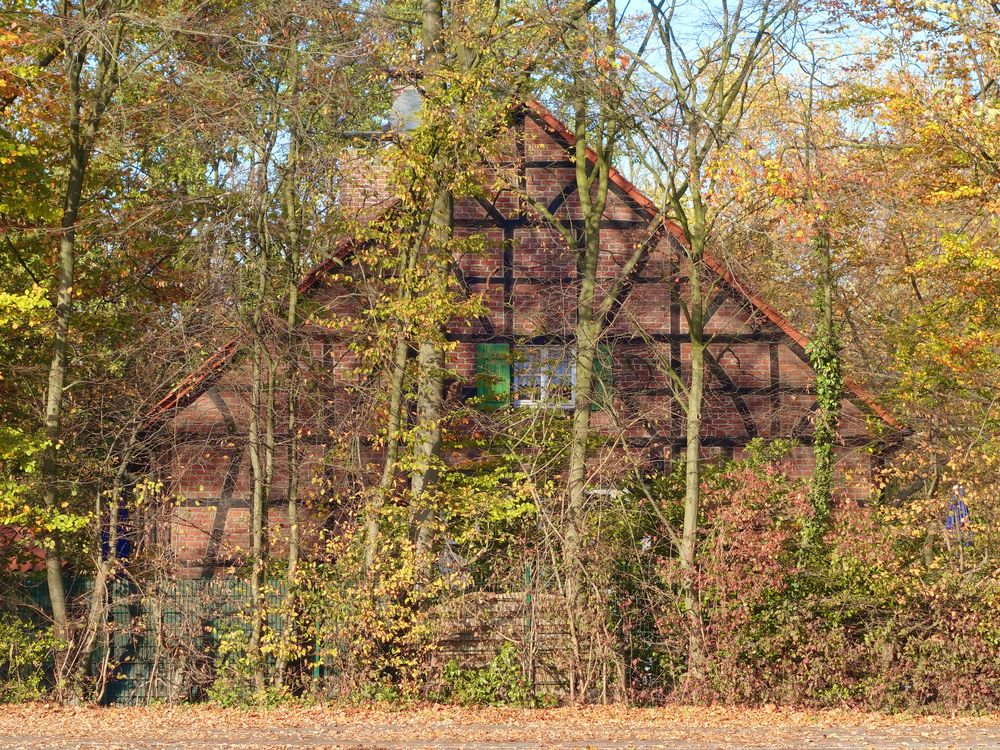 Herbst in Gelsenkirchen