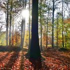 Herbst in Gelsenkirchen