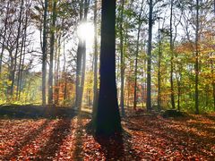 Herbst in Gelsenkirchen