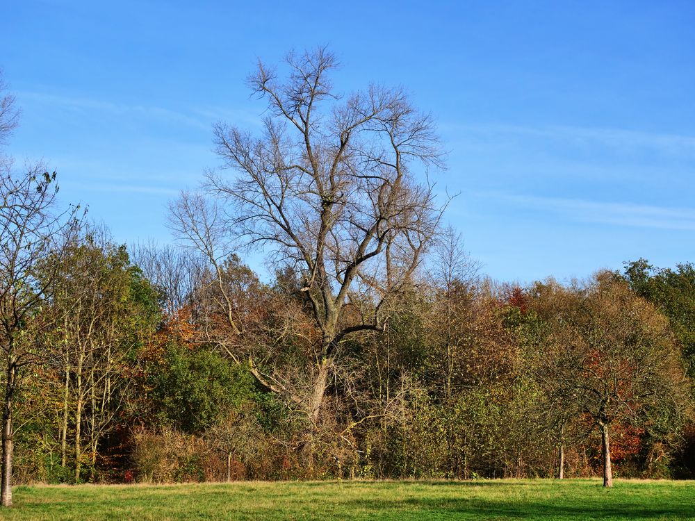 Herbst in Gelsenkirchen