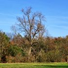 Herbst in Gelsenkirchen