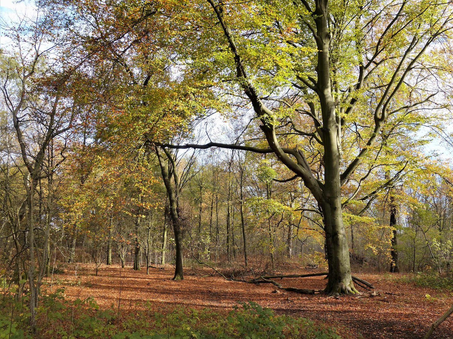 Herbst in Gelsenkirchen