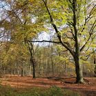 Herbst in Gelsenkirchen