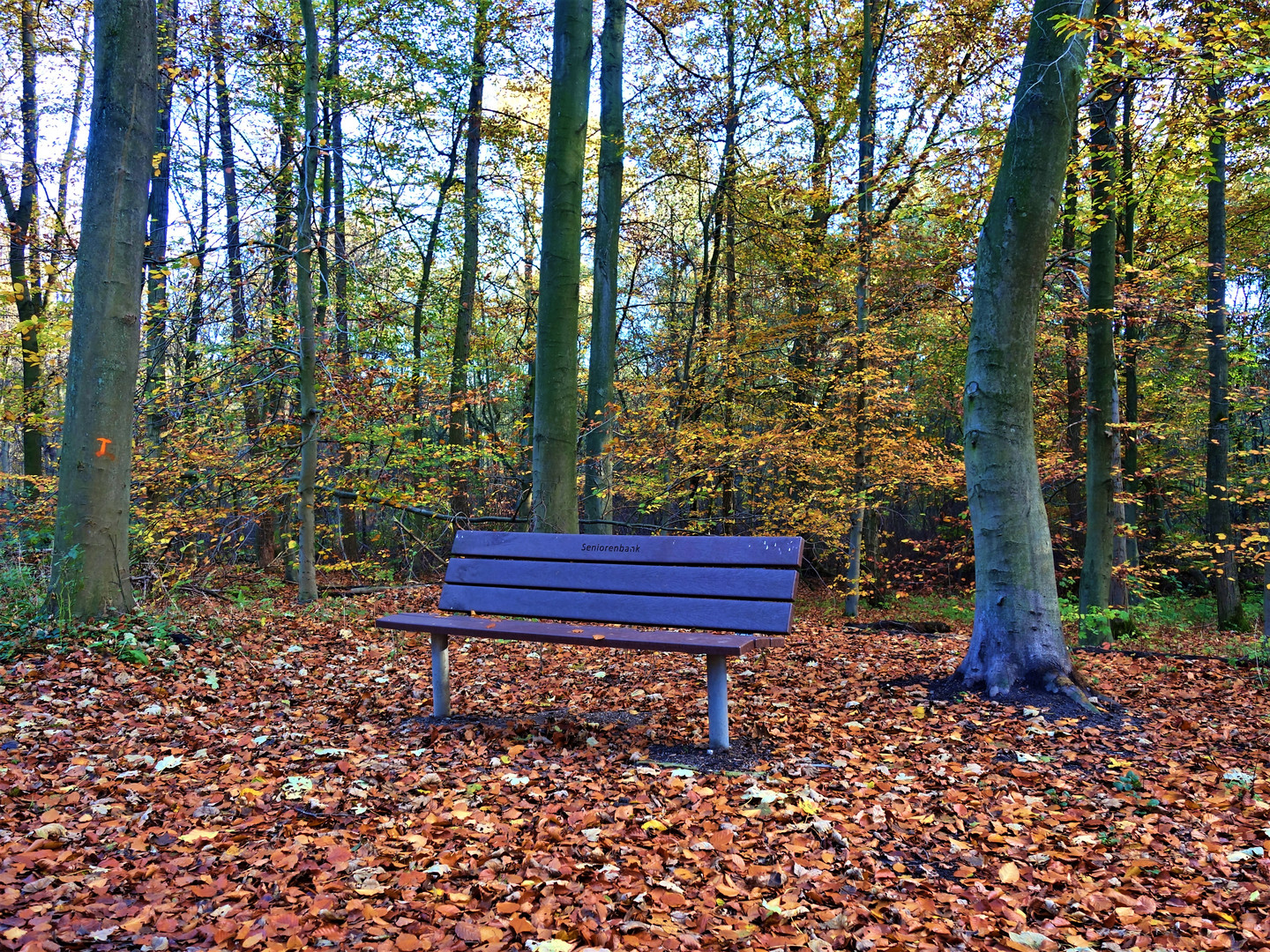 Herbst in Gelsenkirchen