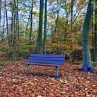 Herbst in Gelsenkirchen