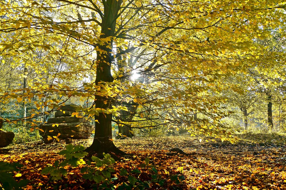 Herbst in Gelsenkirchen