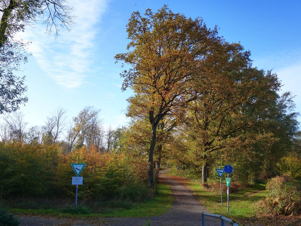 Herbst in Gelsenkirchen