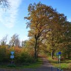 Herbst in Gelsenkirchen