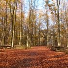 Herbst in Gelsenkirchen