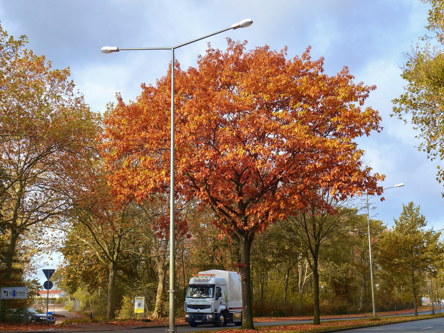 Herbst in Gelsenkirchen