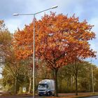 Herbst in Gelsenkirchen