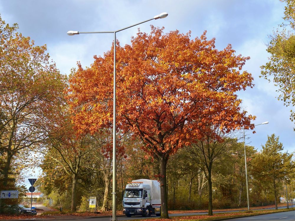 Herbst in Gelsenkirchen