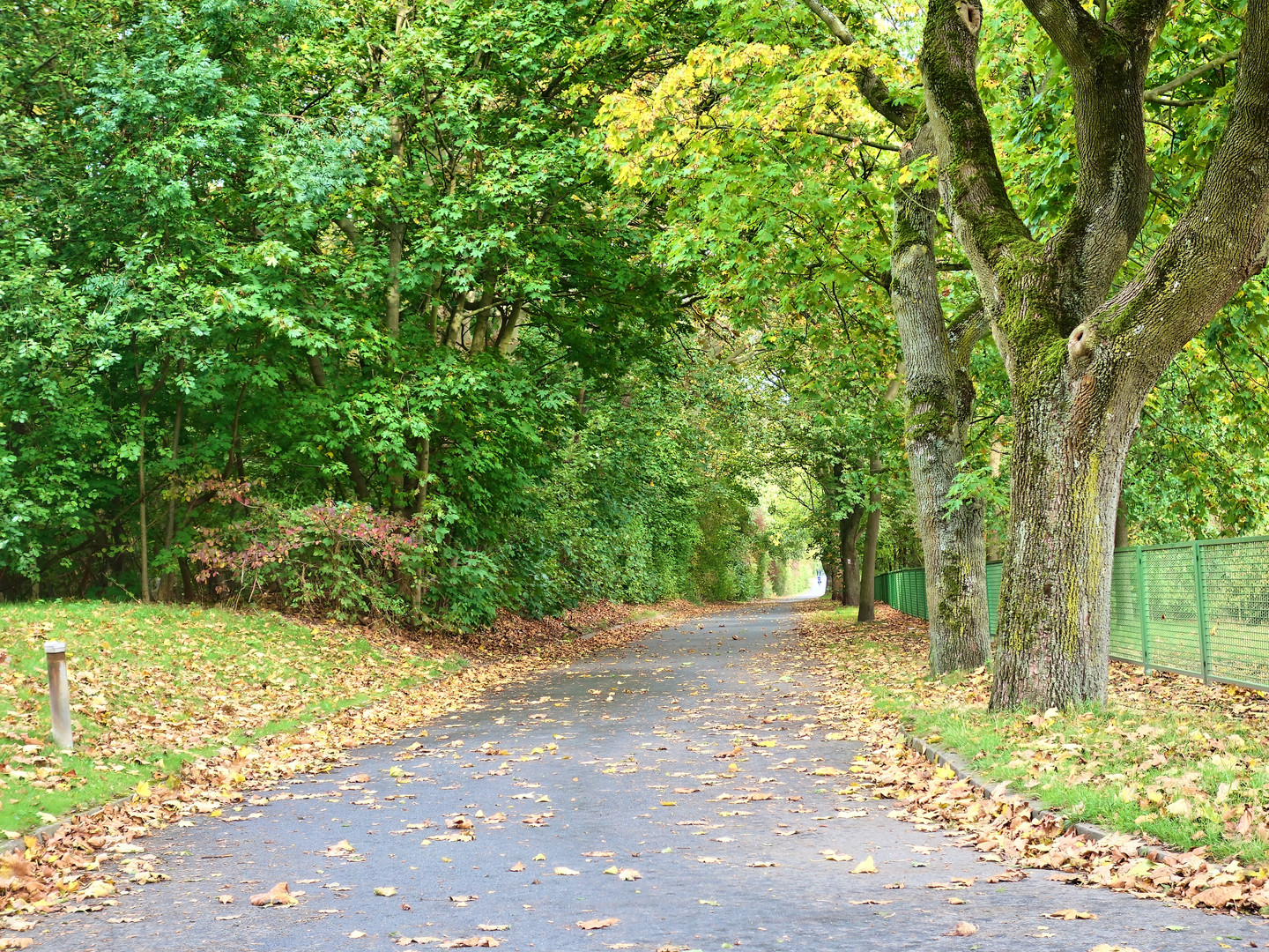 Herbst in Gelsenkirchen