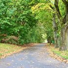 Herbst in Gelsenkirchen