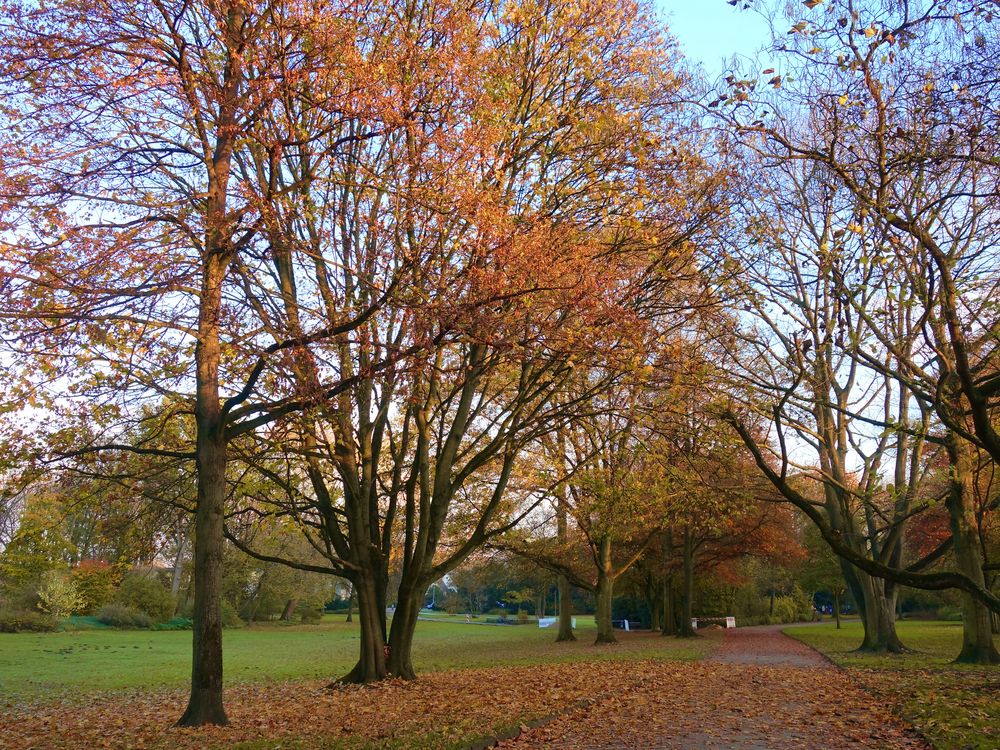 Herbst in Gelsenkirchen