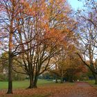 Herbst in Gelsenkirchen