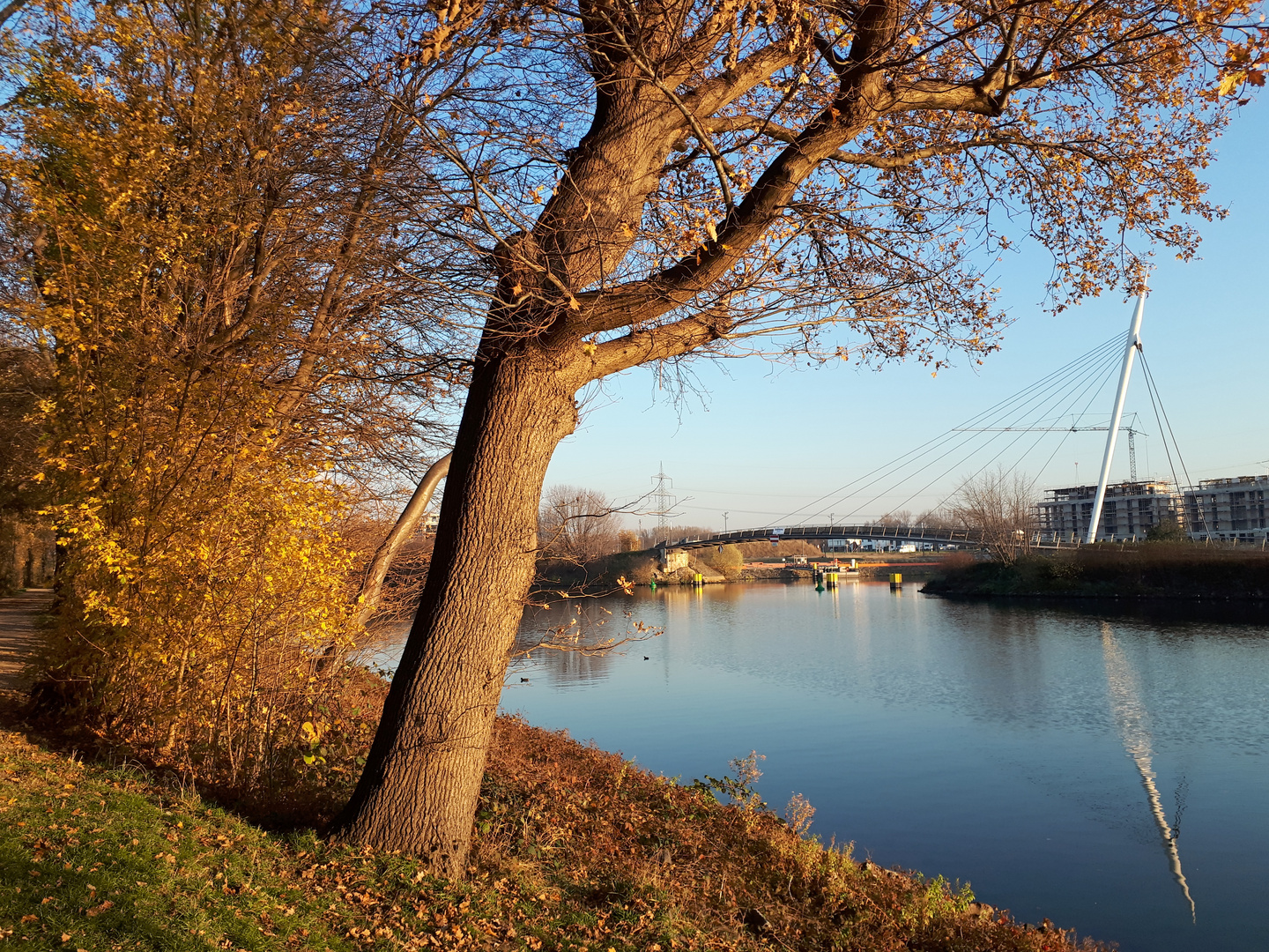 Herbst in Gelsenkirchen