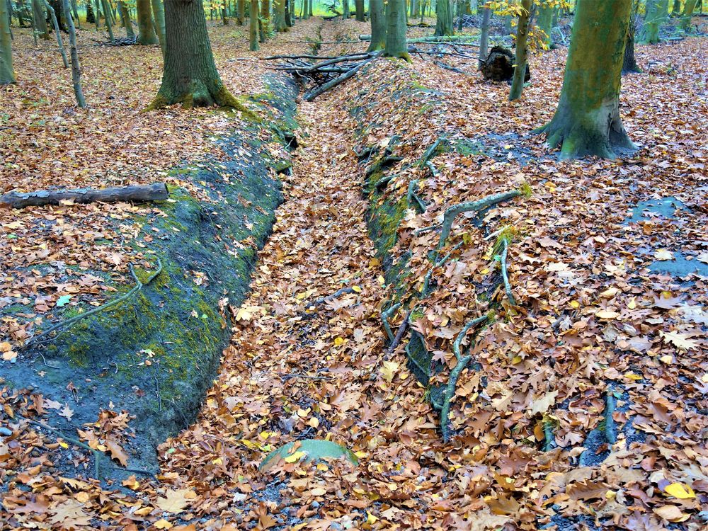 Herbst in Gelsenkirchen