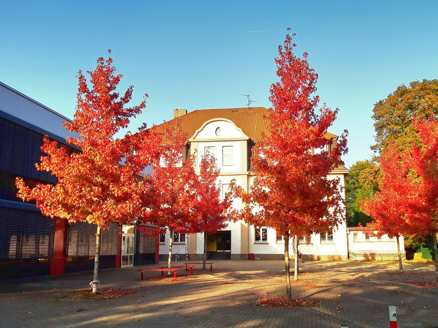 Herbst in Gelsenkirchen