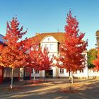 Herbst in Gelsenkirchen