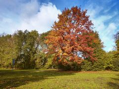 Herbst in Gelsenkirchen