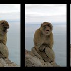 Herbst in Gibraltar