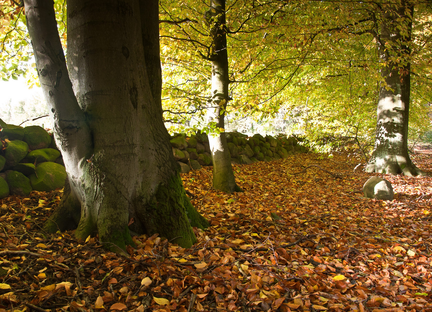 Herbst in Gienau