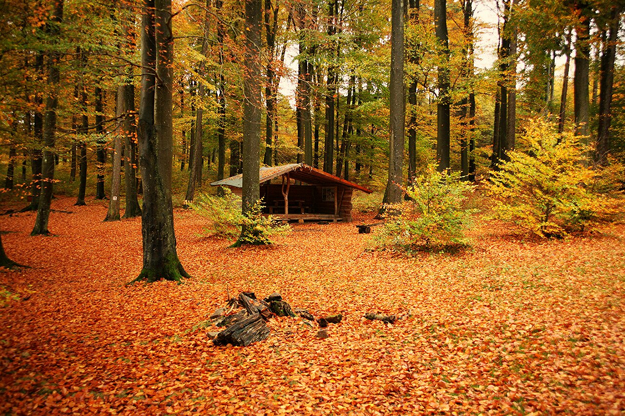 Herbst in Gillenfeld