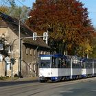 Herbst in Görlitz