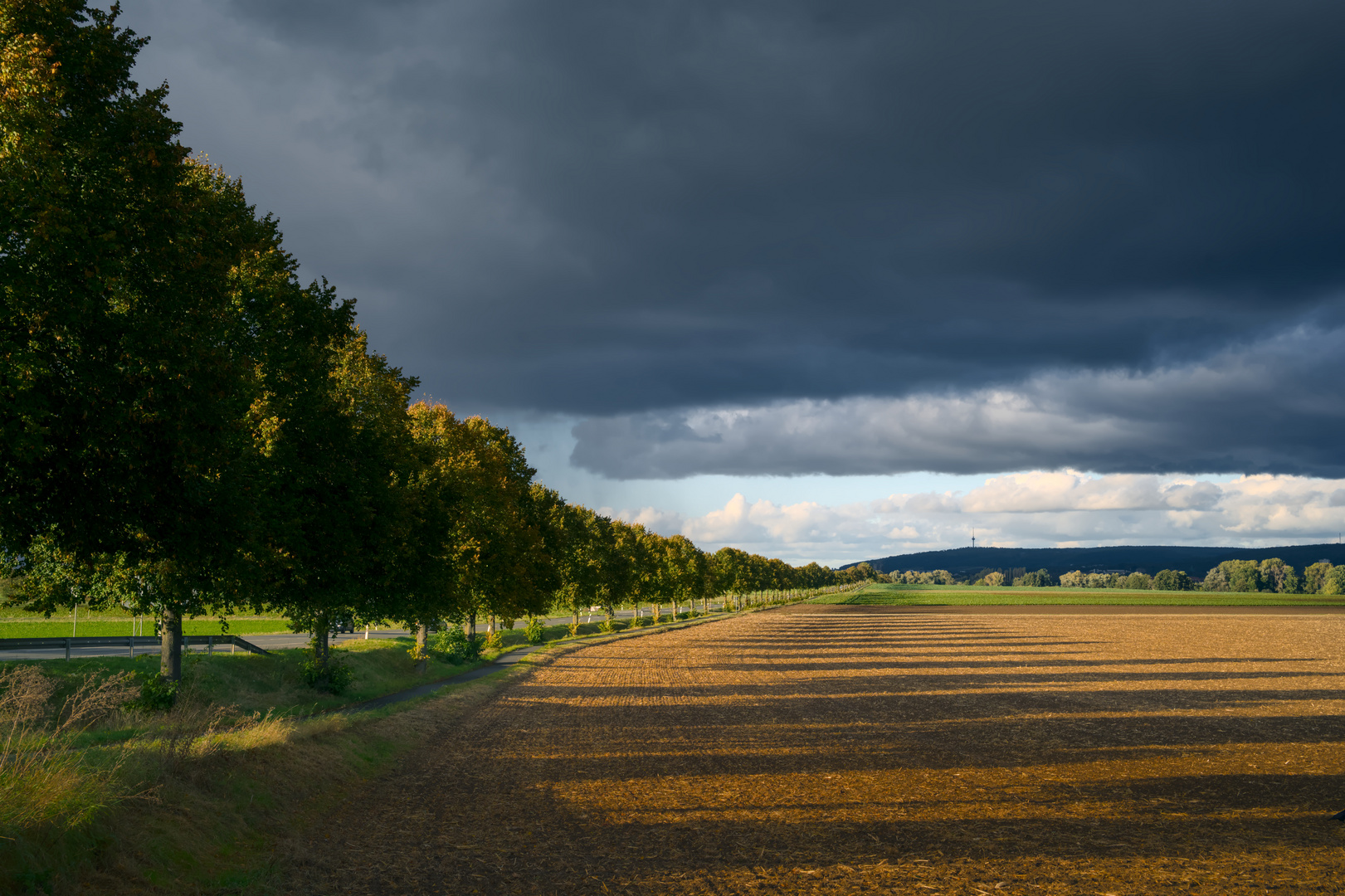 Herbst in Göttingen