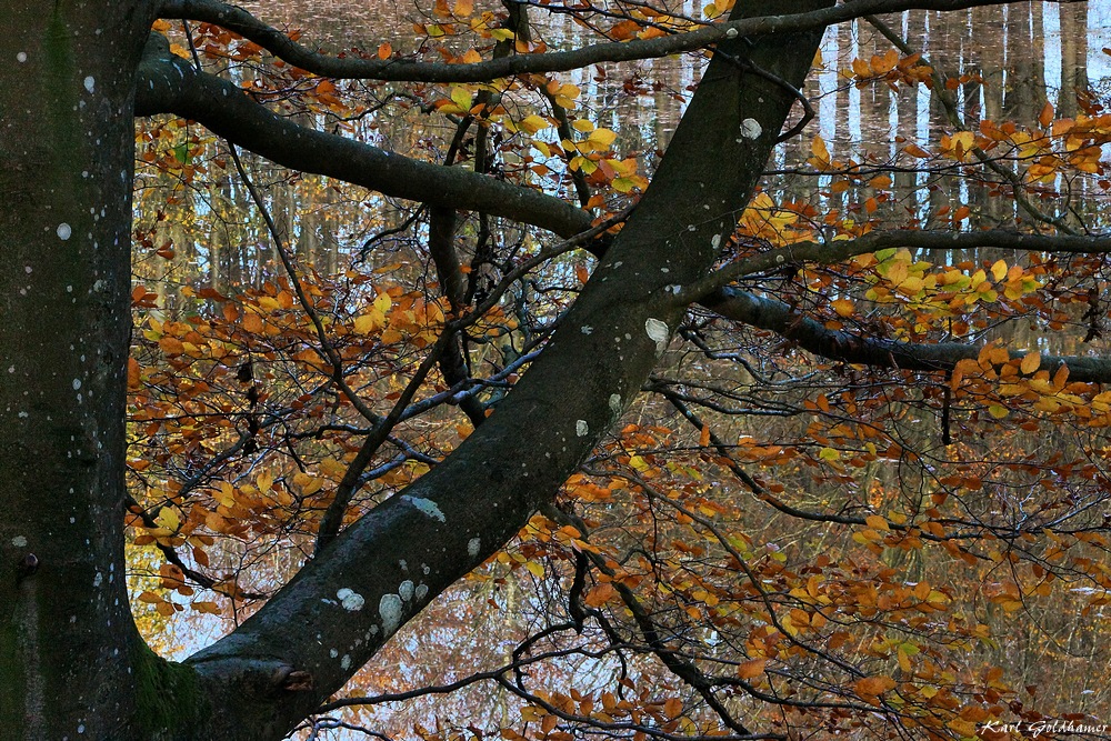 Herbst in Graasten