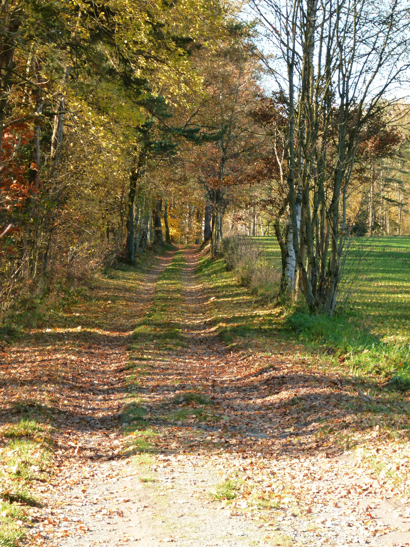 Herbst in Grafenwöhr