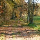 Herbst in Grafenwöhr