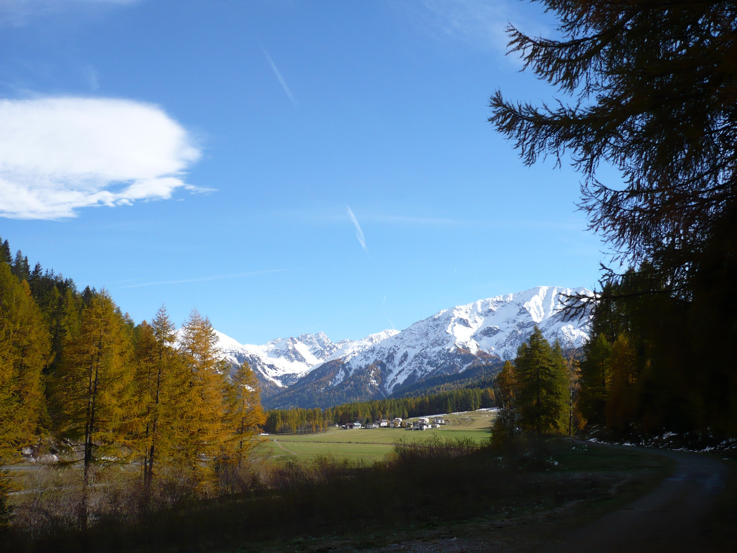 Herbst in Graubünden (1)