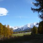 Herbst in Graubünden (1)