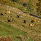 Herbst in Graubünden (3)