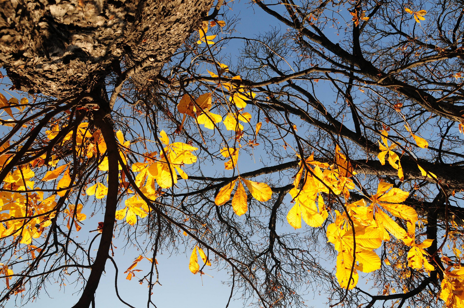 Herbst in Graz