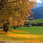 Herbst in Gröbming